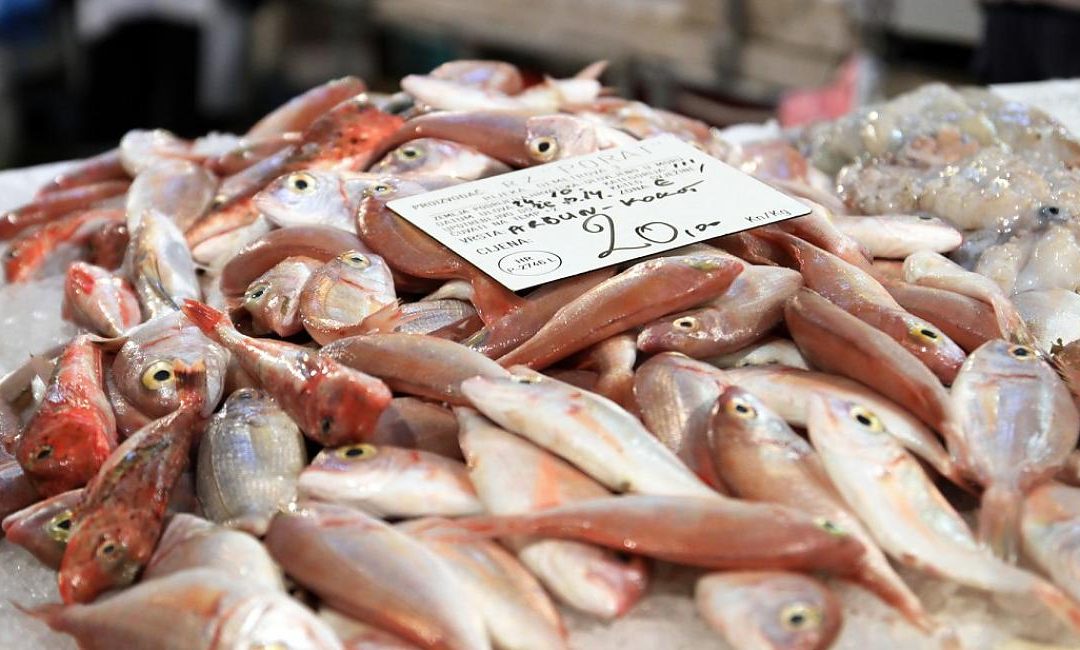 Full Steam ahead top the Austro-Hungarian Riviera – From Vienna to the Adriatic Sea