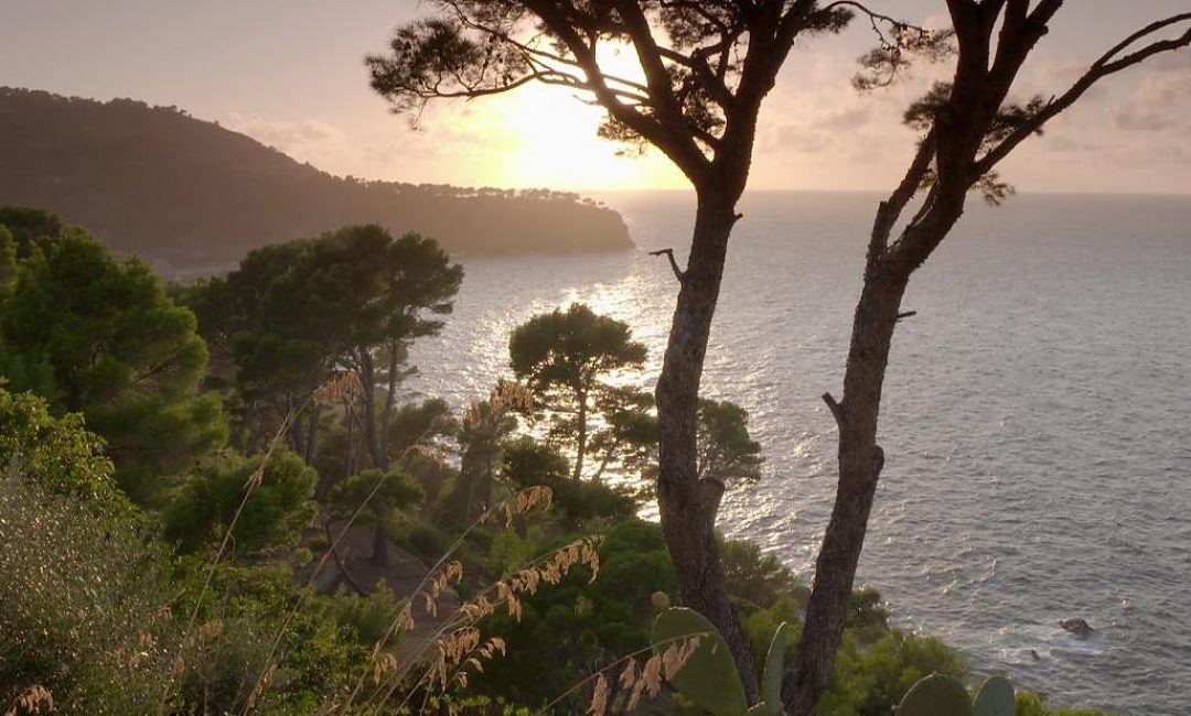 A Habsburg on Mallorca – Ludwig Salvator and the Magic of the Sea