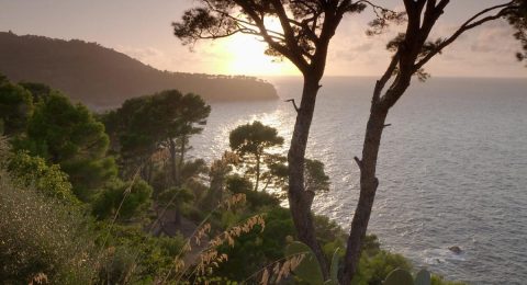 Ein Habsburger auf Mallorca – Ludwig Salvator und der Zauber des Meeres