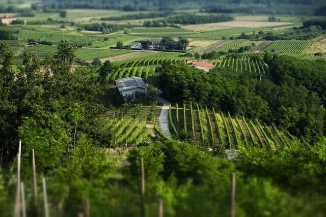 Collio - Italiens Hügel der Genüsse